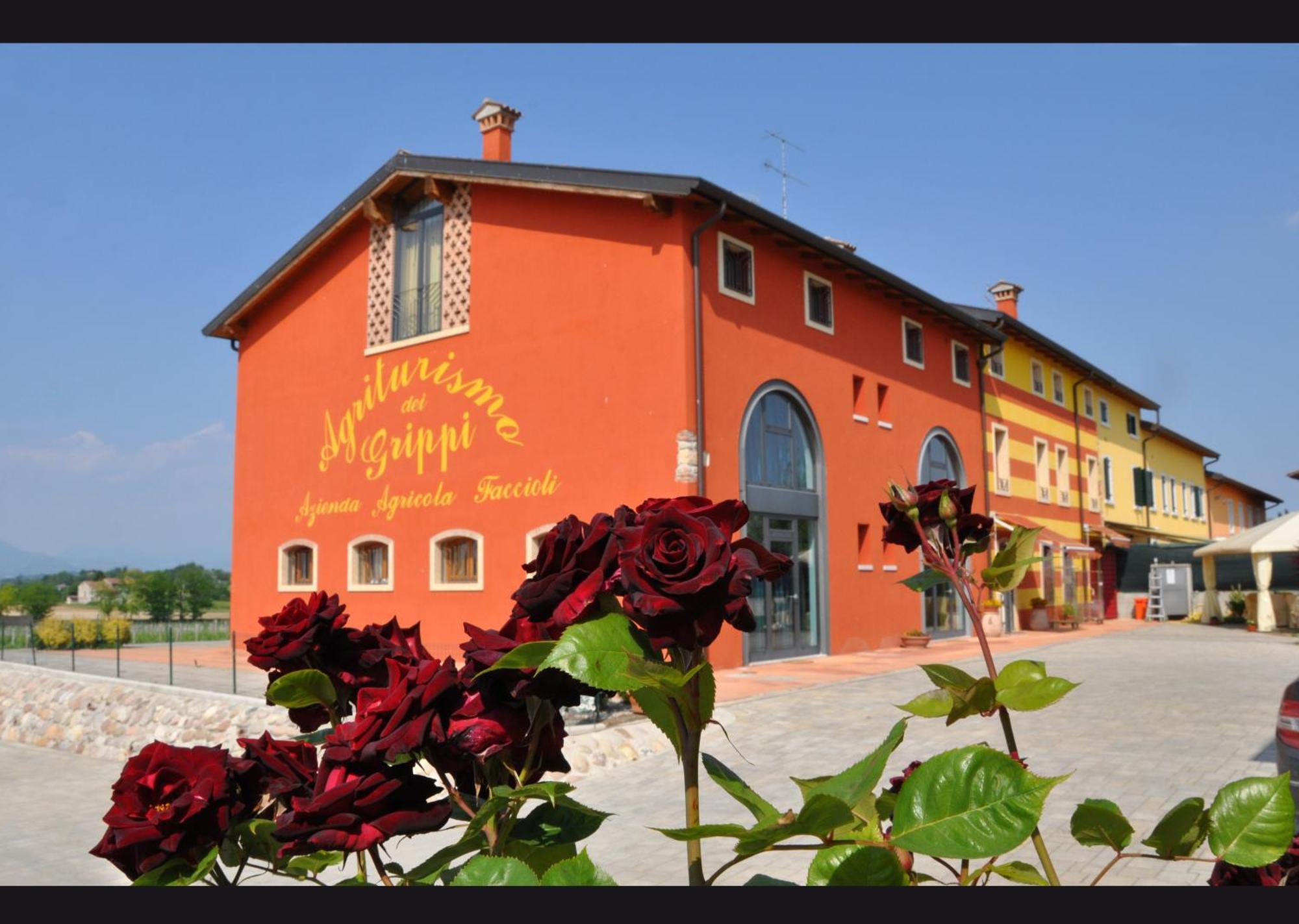 Agriturismo Dei Grippi Sona Zewnętrze zdjęcie