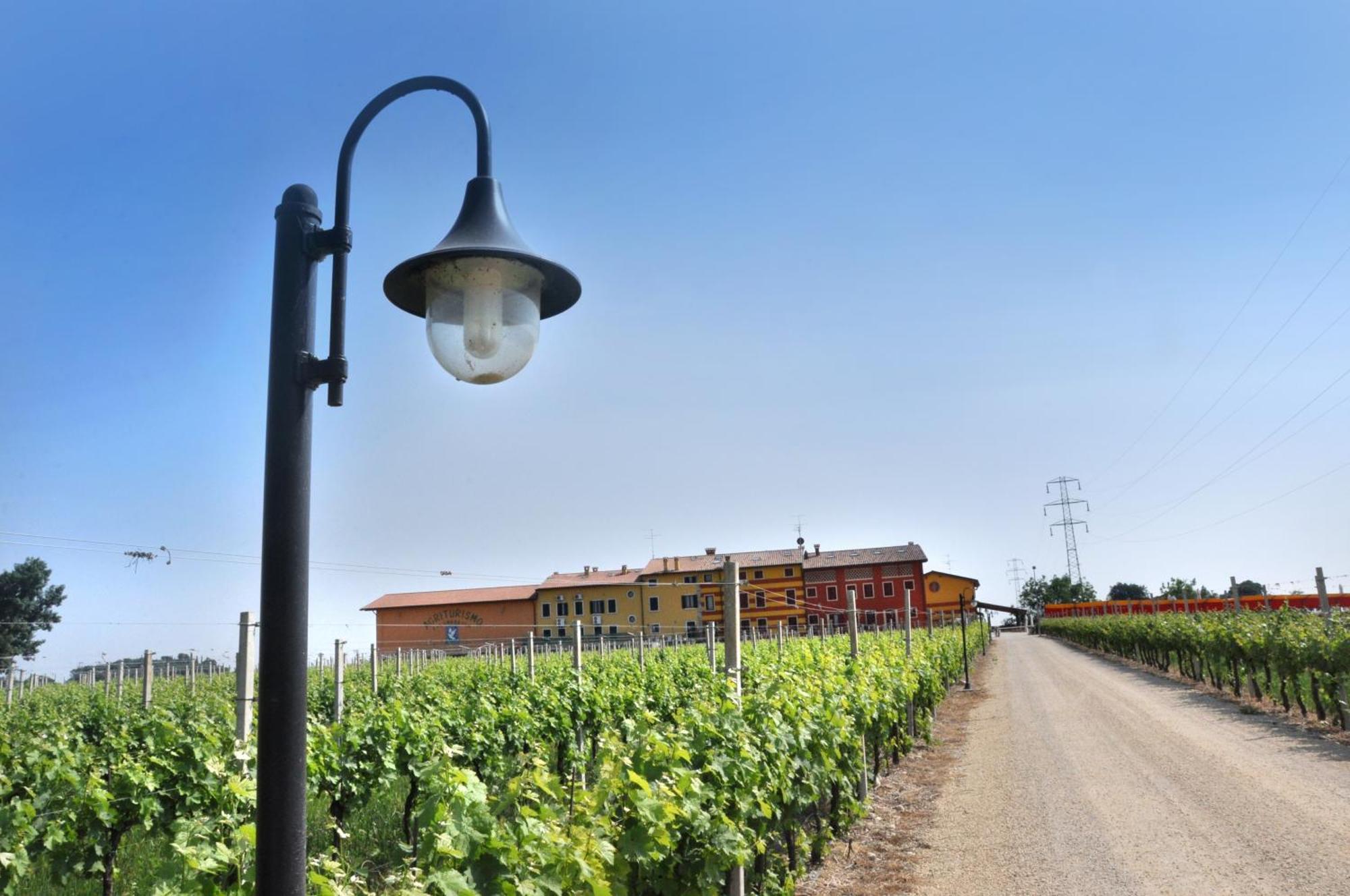 Agriturismo Dei Grippi Sona Zewnętrze zdjęcie